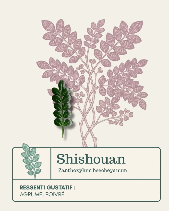 Feuilles de Sichuan