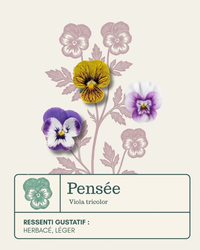 Petites pensées tigrées