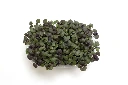 Barquette basilic pourpre vue dessus.webp