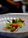 plat toona.webp