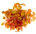 oxalis dorée produit.webp