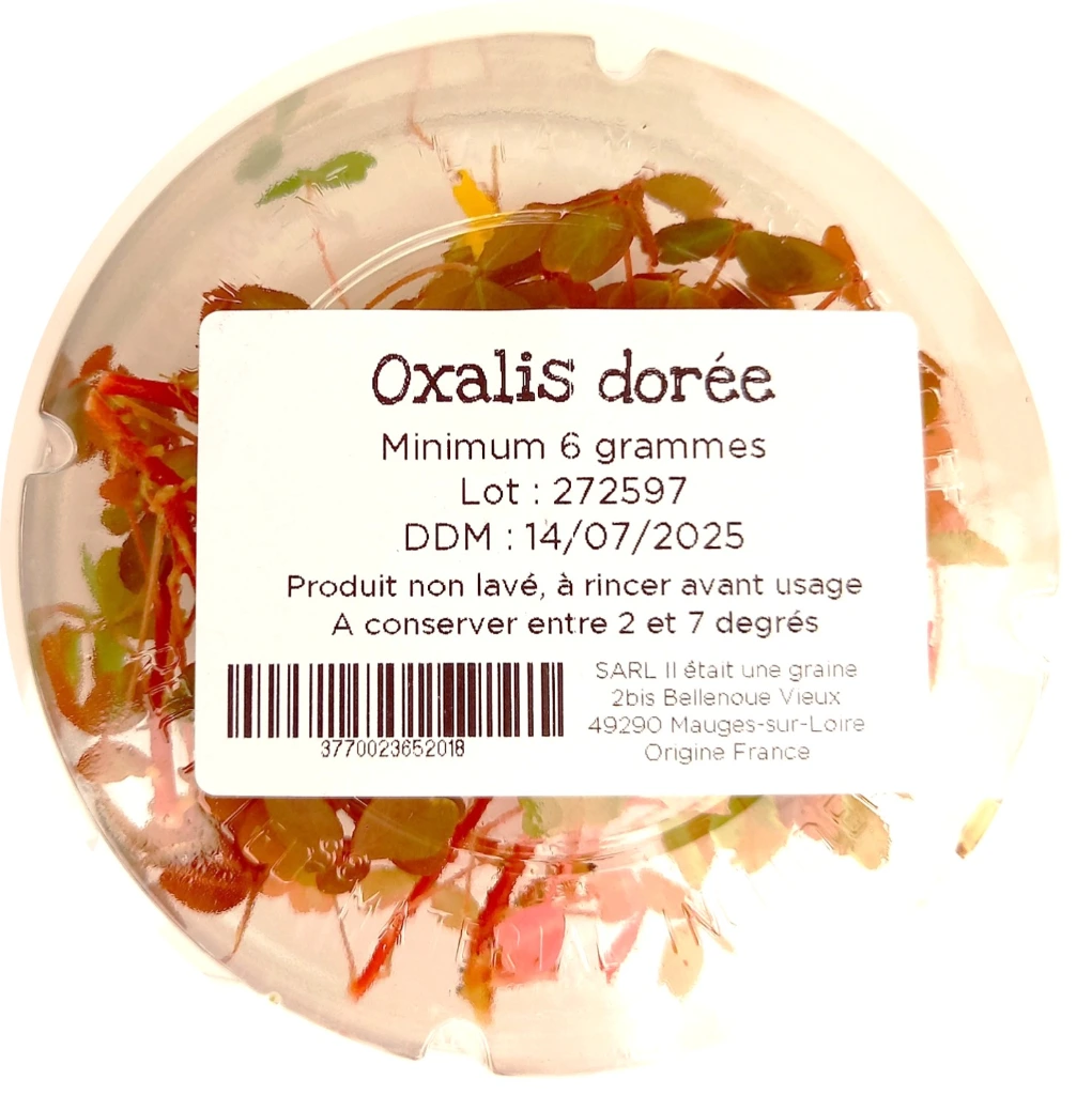 étiquette oxalis dorée.webp