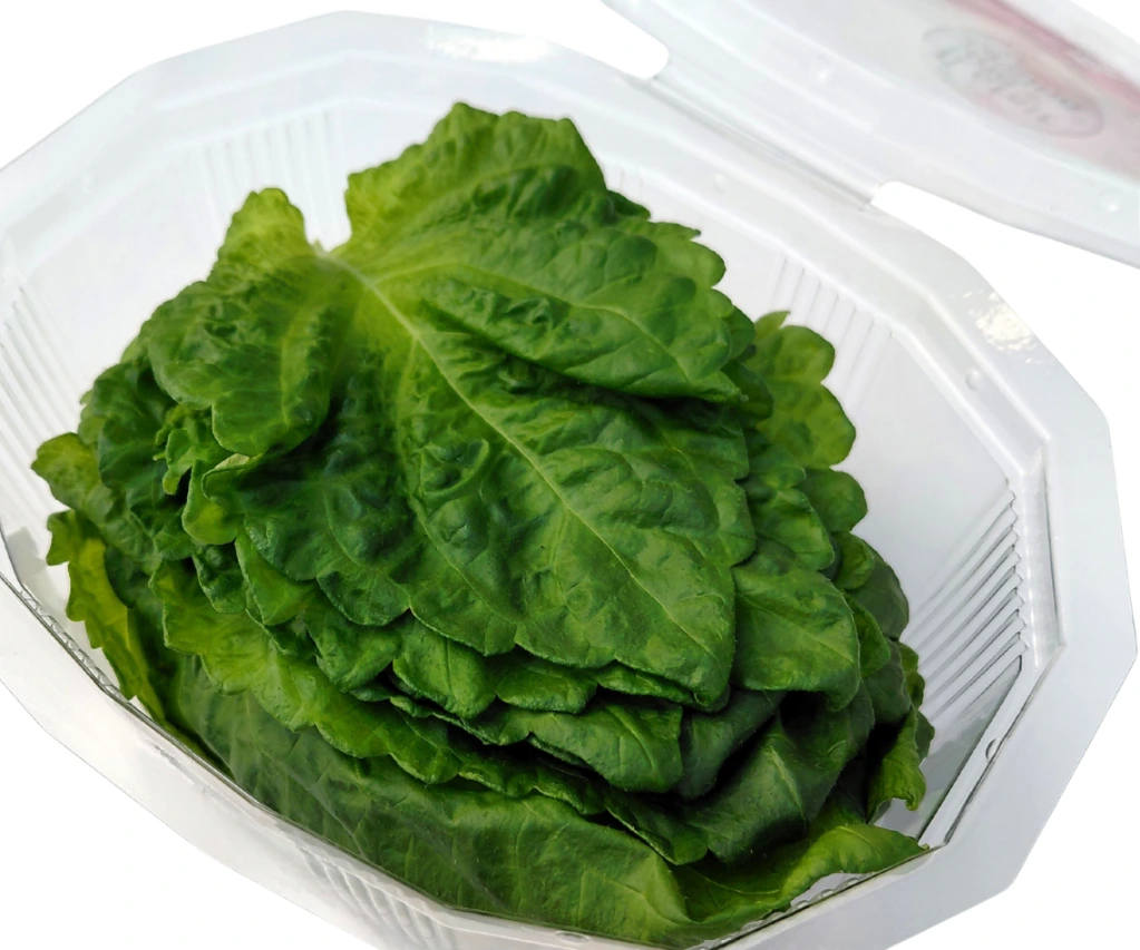 shiso vert feuille boite.webp
