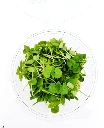 shiso vert en folie.webp
