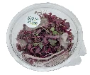 shiso pourpre folie barquette.webp