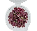 shiso ourpre folie boite.webp