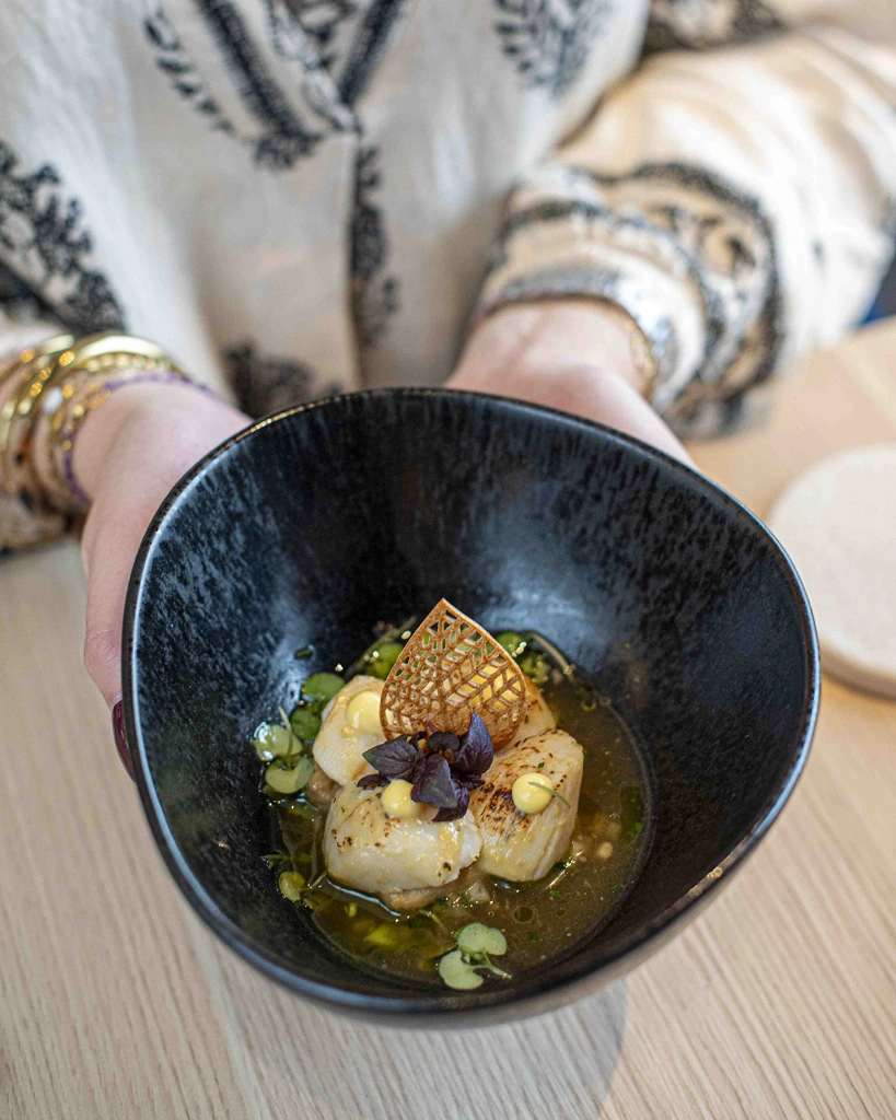 shiso pourpre plat.webp