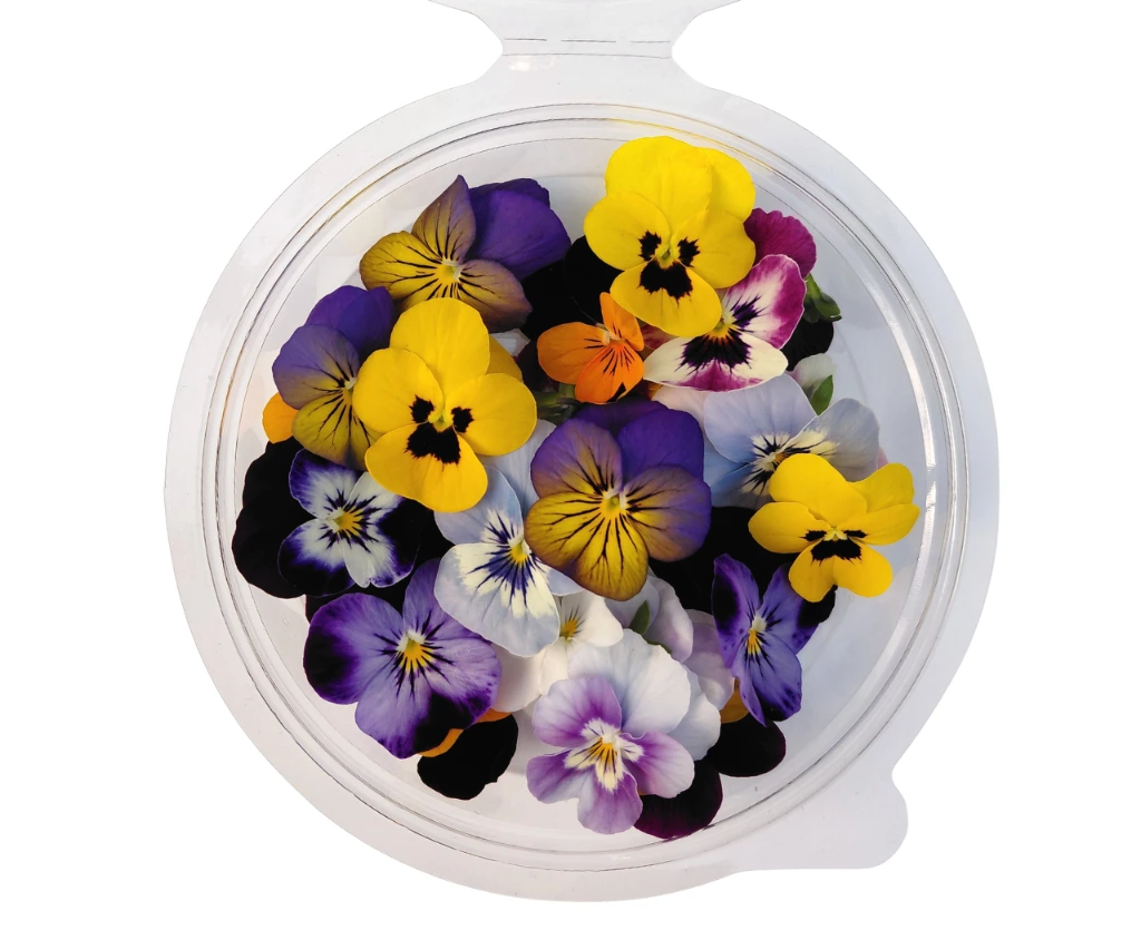 pensee mix fleur comestible.webp