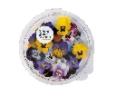 pensees mix.webp