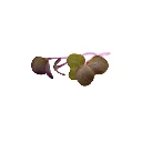 Radis pourpre (micro-pousse)