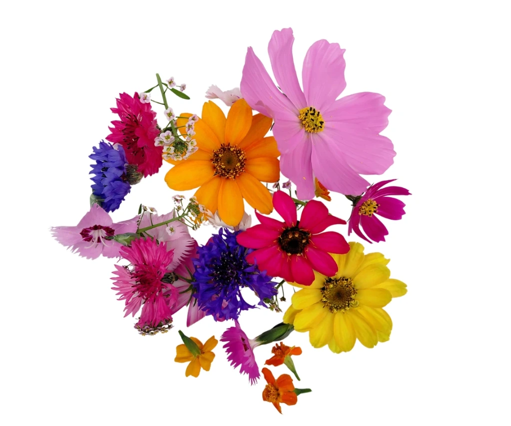 Fleurs mix - par 25